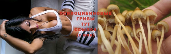 ГАЛЛЮЦИНОГЕННЫЕ ГРИБЫ Киреевск