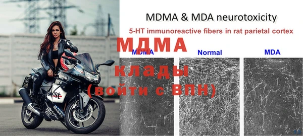 ГАЛЛЮЦИНОГЕННЫЕ ГРИБЫ Киреевск